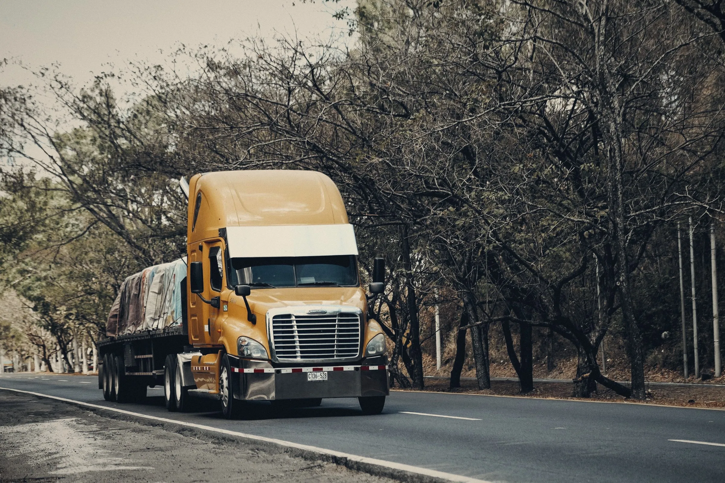 Camión de carga en una carretera